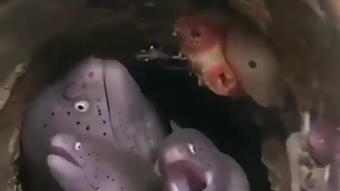 ❤A World Within Another World