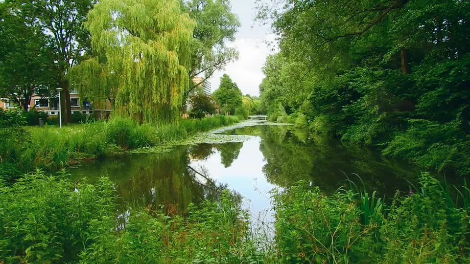 Green hills and water