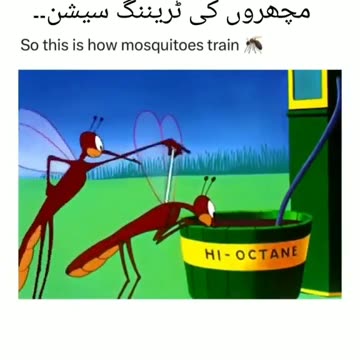 So this is how to mosquito train cartoon
