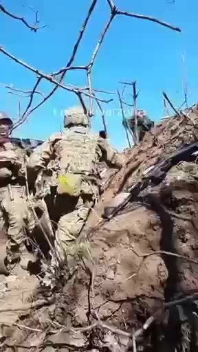 Wanted to live and came to surrender