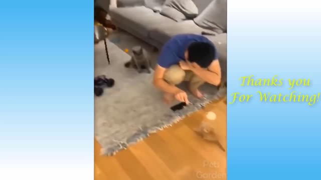 Funniest Animals - Best Of The 2021 Funny Animal Videos