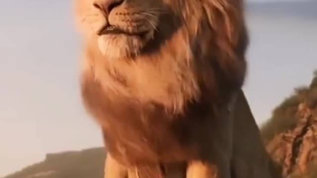 Lion