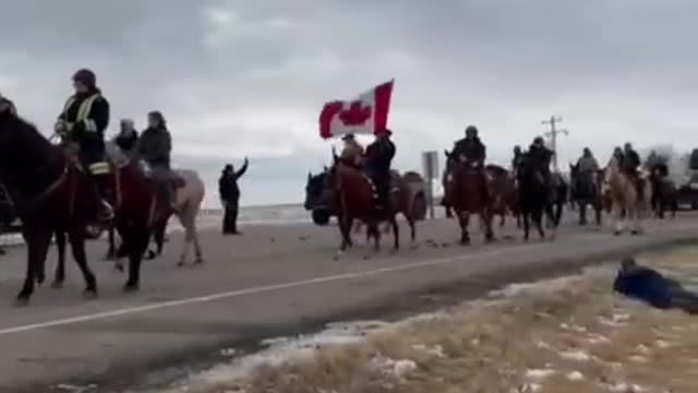 The Cowboys FIGHTING for FREEDOM at the Coutts border