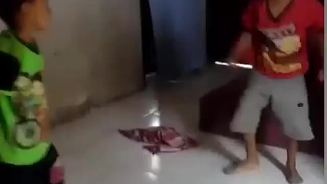 Funny video