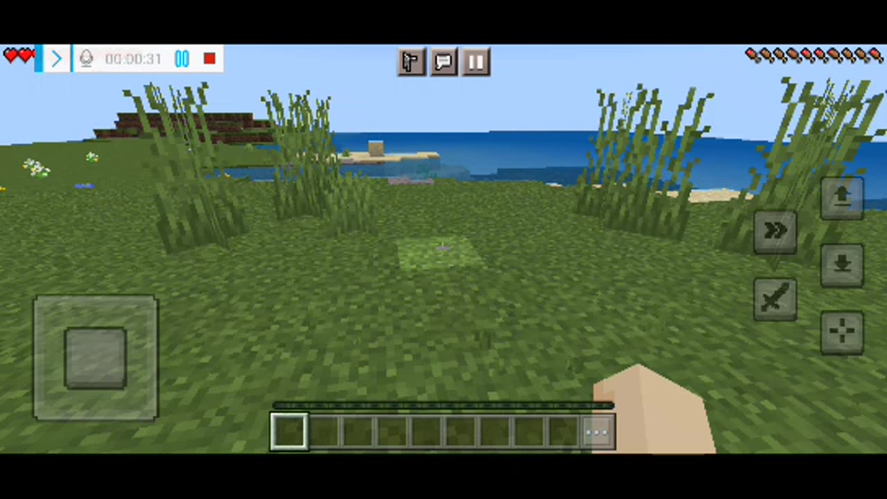 MINECRAFT