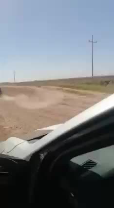 The cartel shooting at Americans