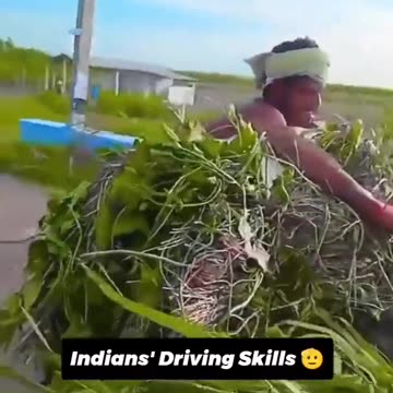 Rate this guy's riding skills from 1 to holy smokes !