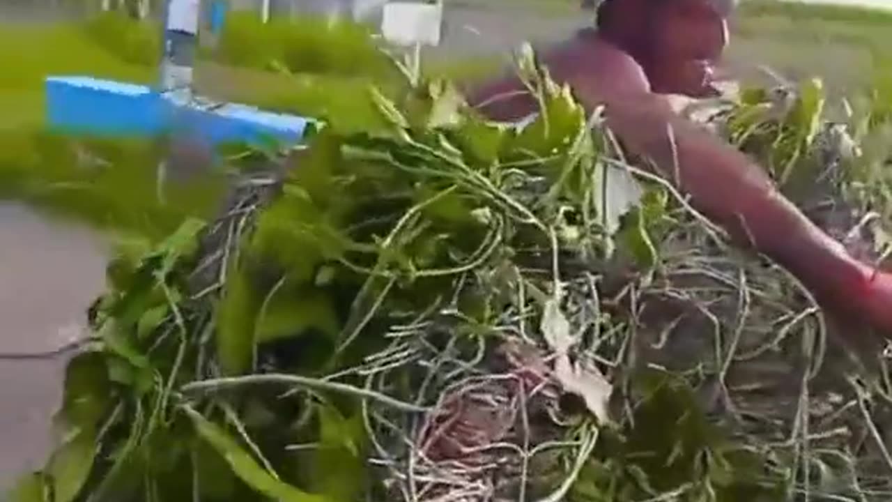Rate this guy's riding skills from 1 to holy smokes !