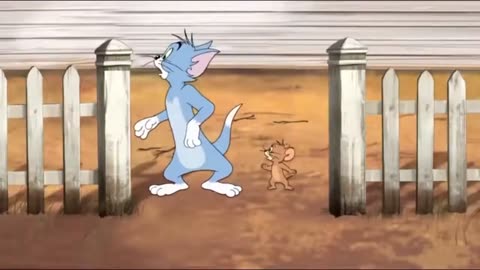 Tom and jerry cartoon kids entertainment cartoon