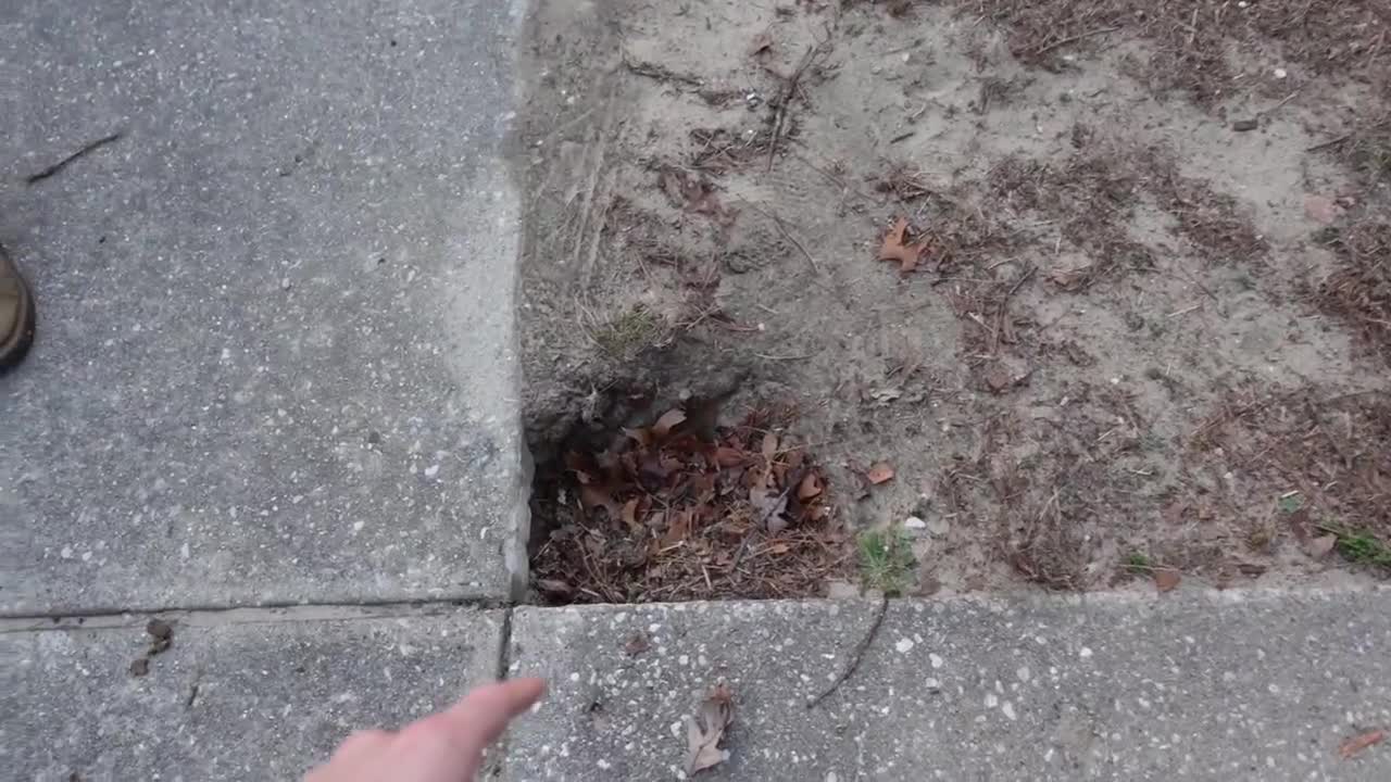 i Dug up an Old Serial Killer's yard..