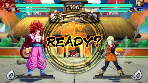 Dragon Ball Fighter Z