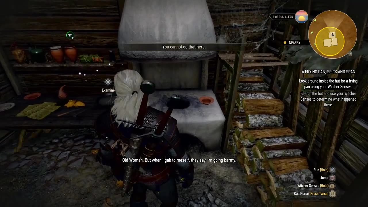 The Witcher 3: Wild Hunt - A Frying Pan, Spick and Span