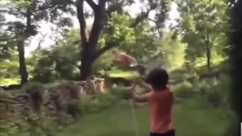 WORLD'S BEST FALLS 2022 FUNNIEST VIDEO