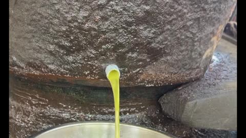 Traditional peanut oil wood pressed making process | how Groundnut oil made?