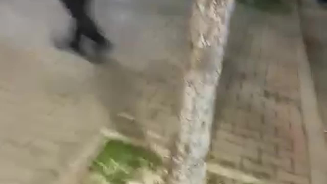 VIDEOLAJM/ Sherr mes grupeve të militantëve të PS-së në Kavajë, policia bën sehir