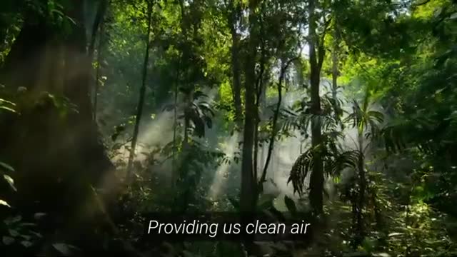 Environmental Advocacy Campaign