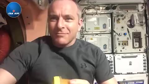 HONEY IN SPACE