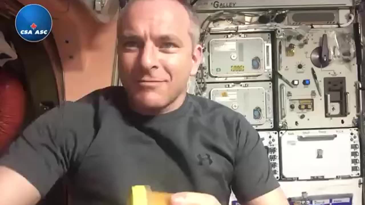 HONEY IN SPACE