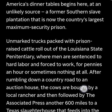 Where does beef come from