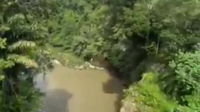 Dangerous Road