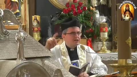 Polish Fr. Natanek dehumanizes children conceived in vitro and calls them "animals" and "products"