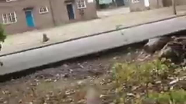 This is why Ghillie Snipers aim for Headshots in the game.