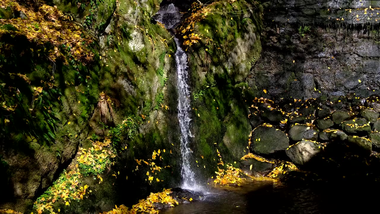 Waterfall ARMS Sounds I ASMR with Nature