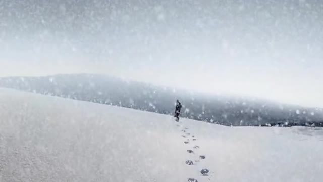 We followed the bear's tracks in the snow.