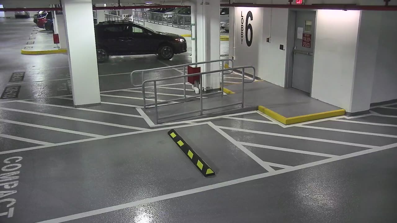 6082RHOBG3G306ANorthLobby_2021-01-06_21h00min02s653ms.mp4