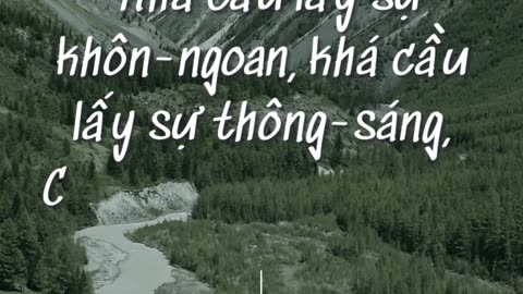 Sách Châm Ngôn đoạn 4 câu 5 | Những câu hay trong sách Kinh Thánh