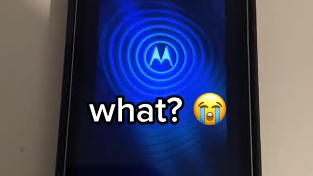 what?