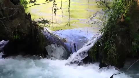 Nature Sounds Relaxing Running Water Flow Sounds Chill on a White Noise & Nature Sounds