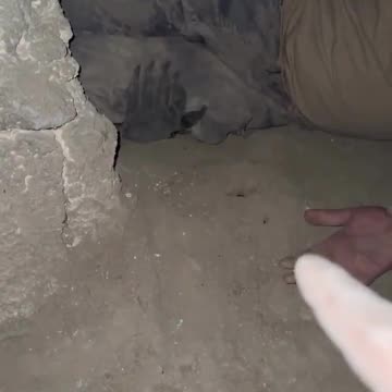 Whats going on here?? 👀 Can anyone translate this?