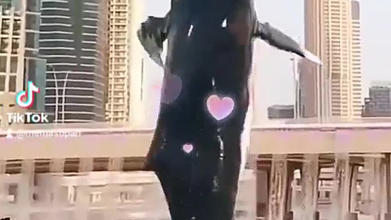 Amazing Video 📷📸