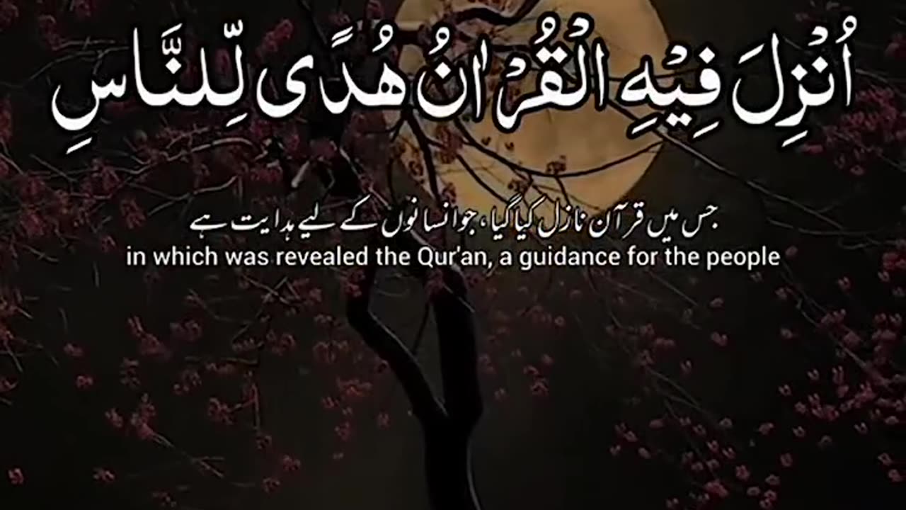 Quran