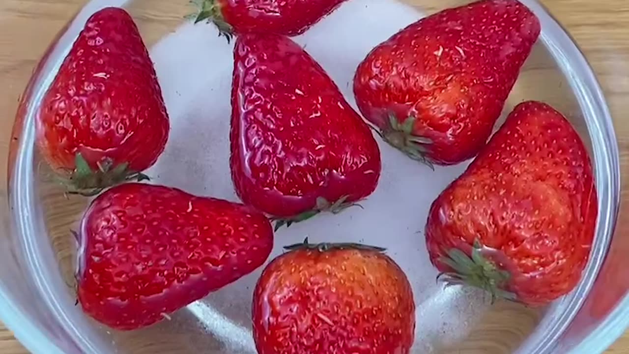 Best Top Funny Video