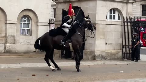 Queen’s Guard Horse Goes Crazy