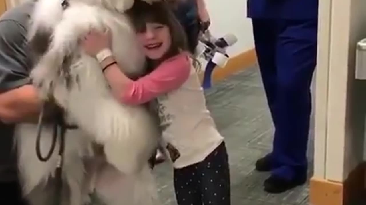 teddy bear Doggo of i.g.
