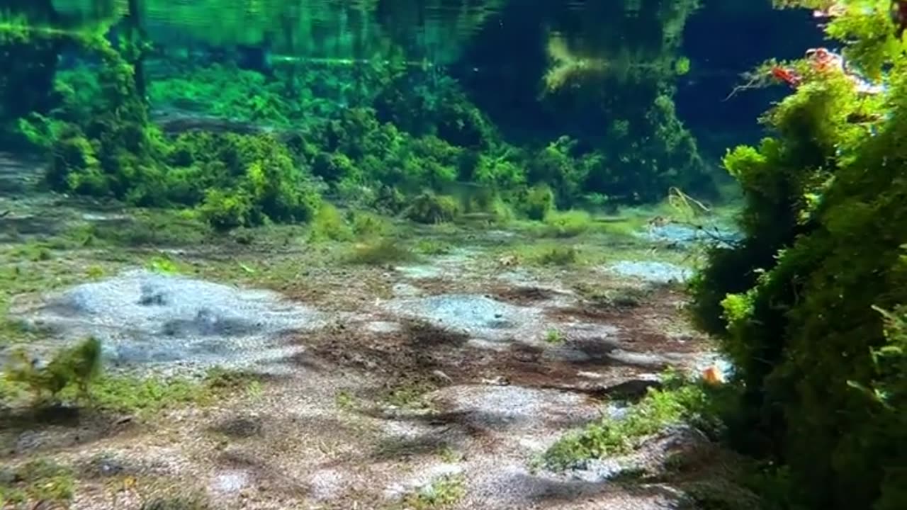 Beautiful ocean 🌊 view relax cool music video 2023