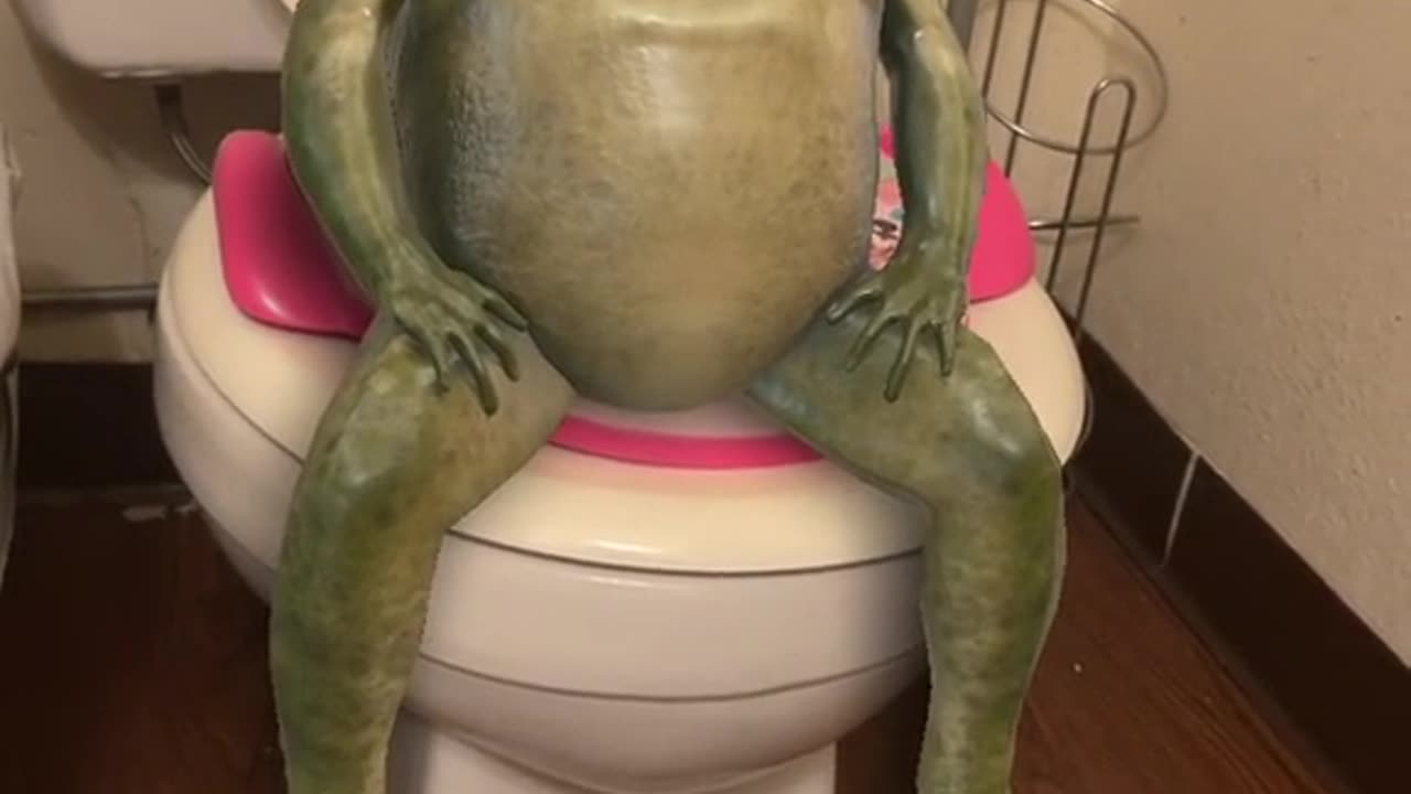 o sapo peidando.mp4