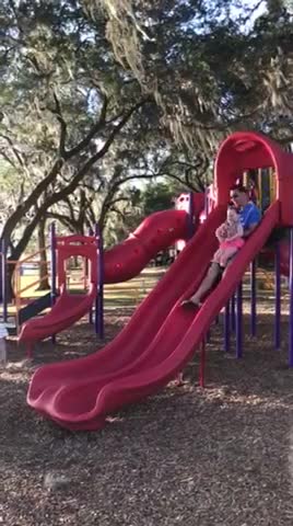 Gracioso chihuahua de desliza por un tobogán