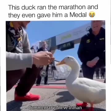 Marathon Duck
