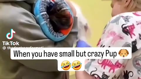 When you are small but crazy