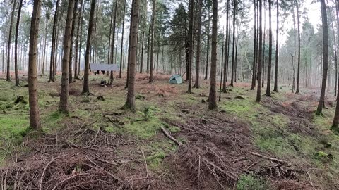 Woodland wildcamp set up 22nd Jan 2023