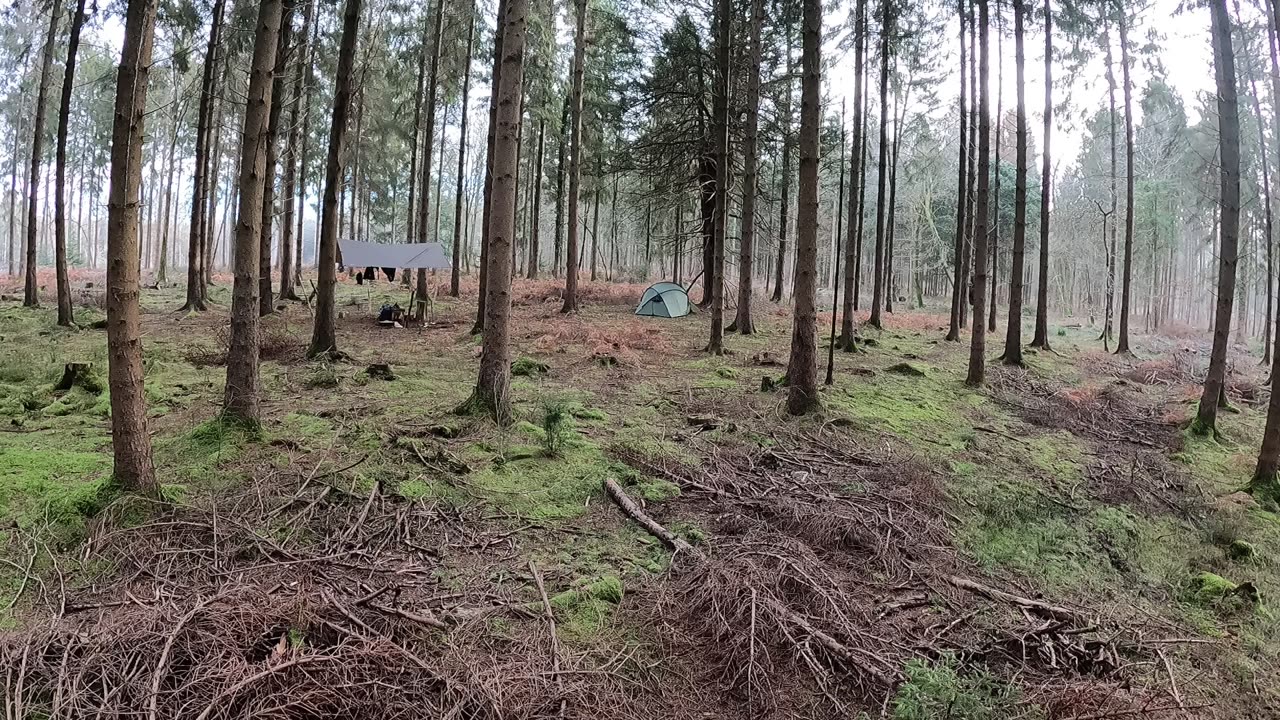 Woodland wildcamp set up 22nd Jan 2023