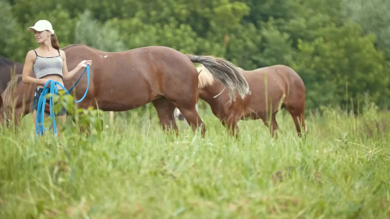 Horses walking with a girl on the field