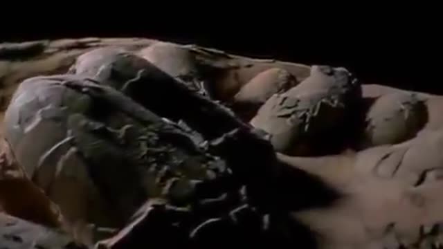 Dinosaurs Documentary