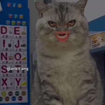 Uninstall kar du | Bangad Billa | ankit ang #2shots #angvines #shots #Bangadbilla