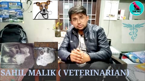 dog vomiting prevention & cause