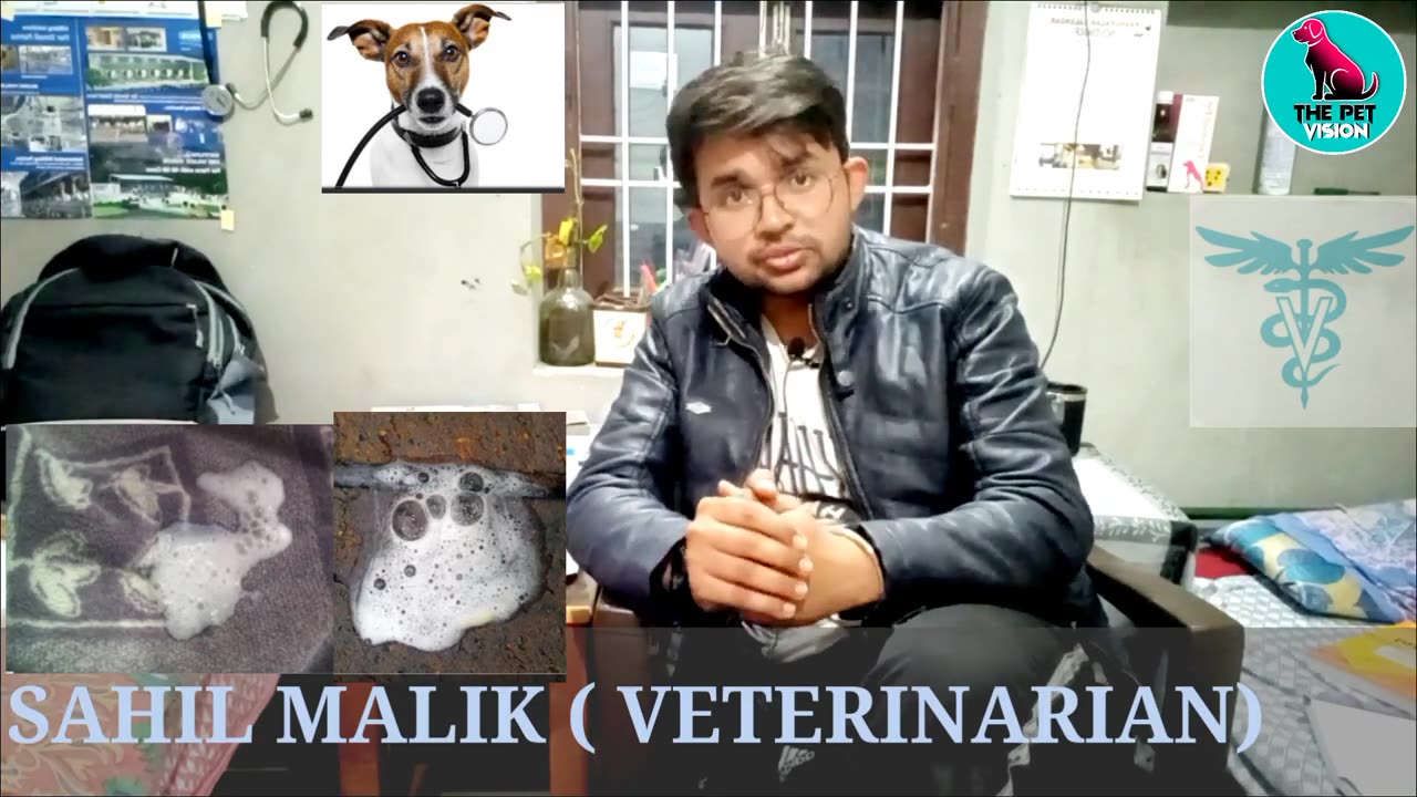 dog vomiting prevention & cause
